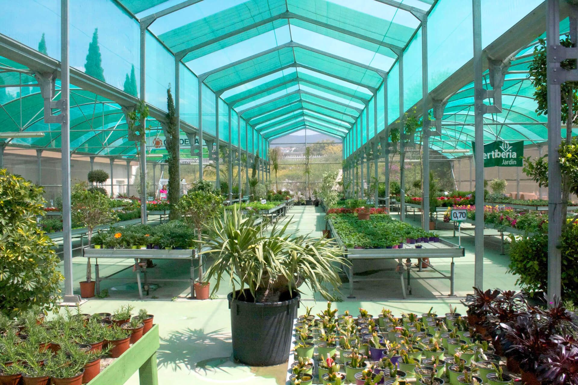Interior del invernadero de exposición con malla de sombreo y plantas en mesas de cultivo