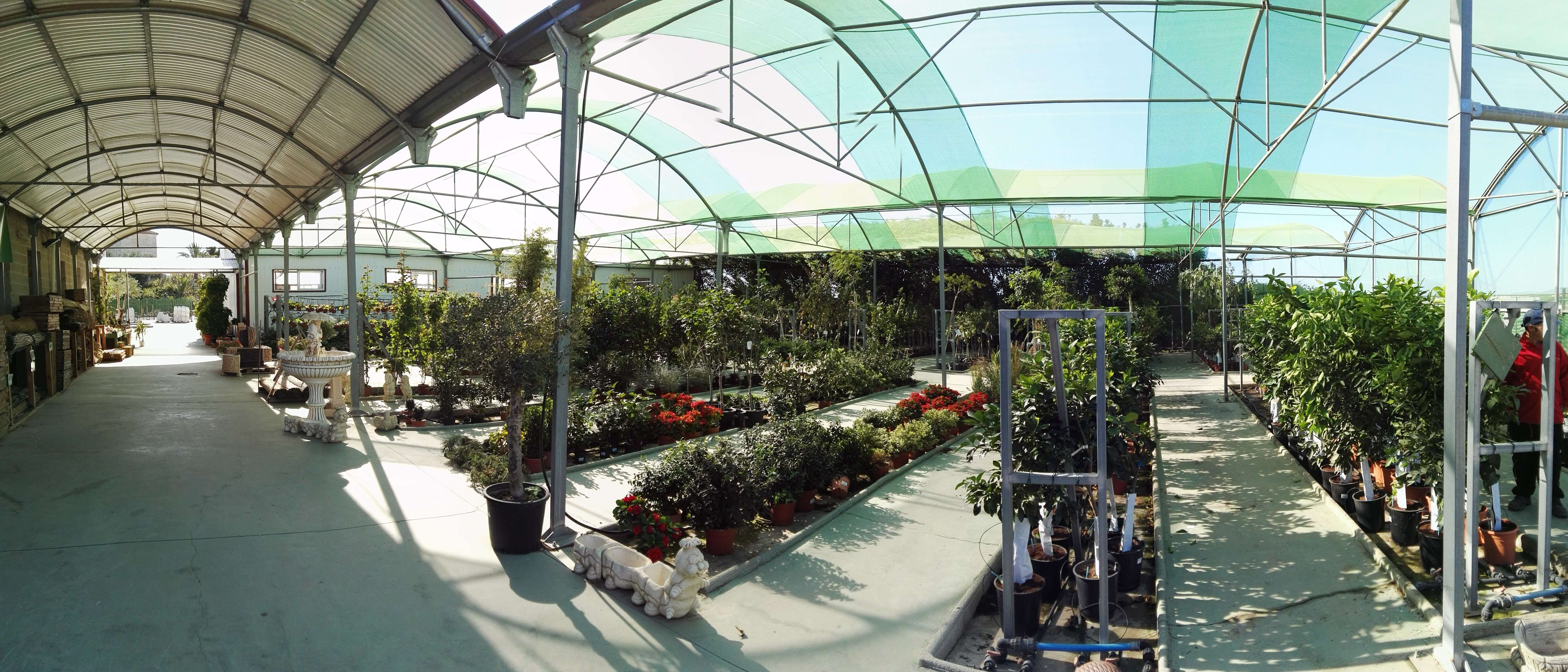 Pasillo del vivero bajo malla de sombreo, con plantas a ambos lados y una fuente al fondo